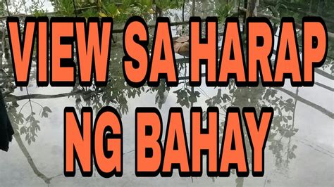 View Sa Harap Ng Bahay Youtube