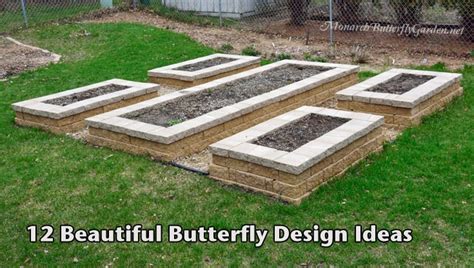 12 Beautiful Butterfly Designs To Shape Your Garden