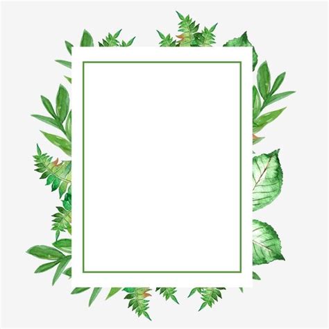 Green Leaf Border - Summer Leaf Border PNG Image