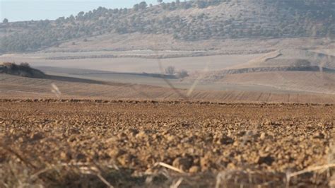 La Junta de Castilla y León licita las ayudas para asesoramiento de