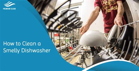 How To Clean Dishwasher 3 Step By Step Guide Premium Clean