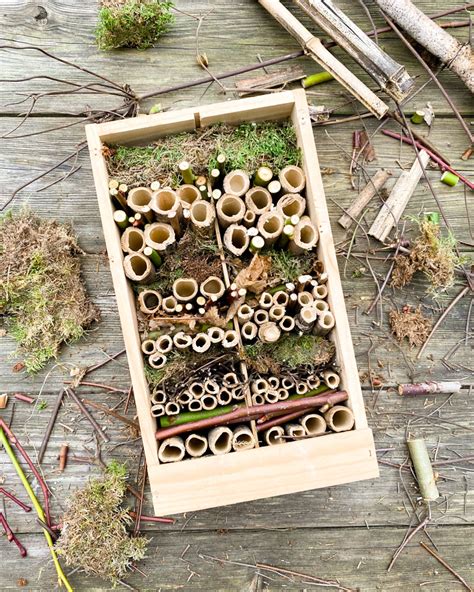 Naturschutz leicht gemacht DIY Insektenhotel auch für Wildbienen