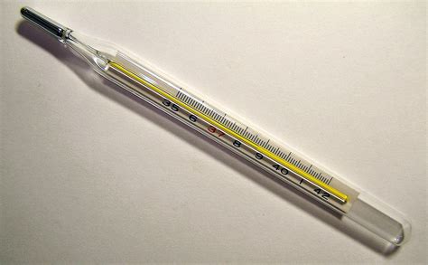 File Clinical Thermometer Wikimedia Commons