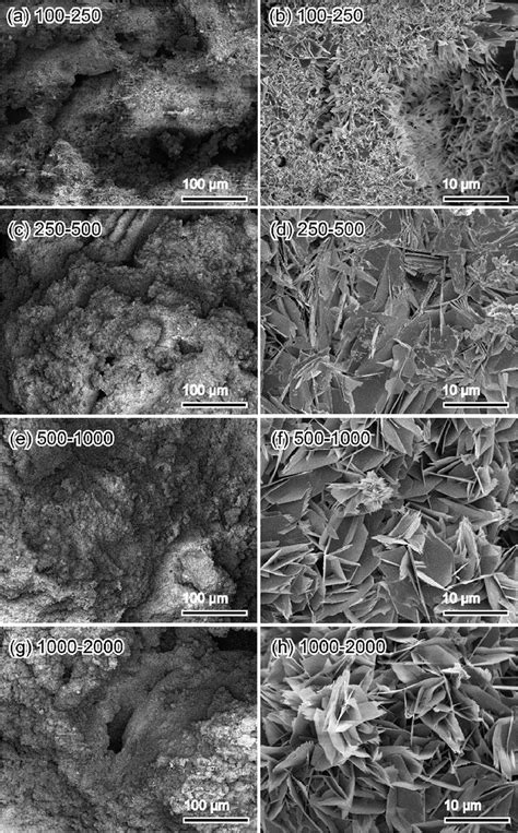 Representative Sem Micrographs Of Ocp Ag Foams With Sizes Of A B