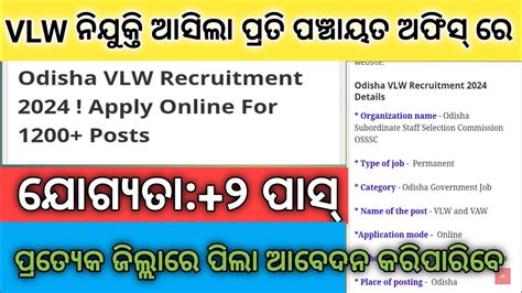 Vlw ପଦବୀ ନିଯୁକ୍ତି ଆସିଲାodisha Vlw Nijukti 2024odisha Panchayat Level