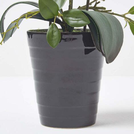 Homescapes Orchid E Artificielle Blanche En Pot En C Ramique Noir Cm