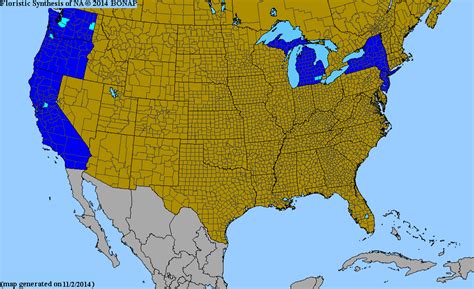 2013 BONAP North American Plant Atlas. TaxonMaps