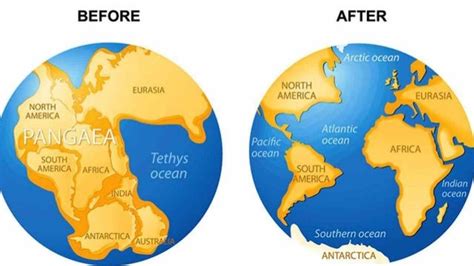 Science Grade 10 Continental Drift Theory