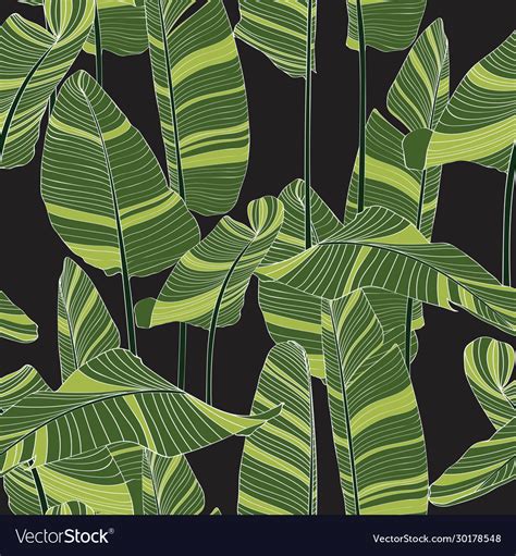 Seamless Banana Leaf Pattern Background Royalty Free Vector