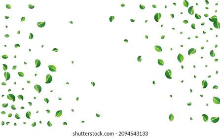 Forest Foliage Flying Vector White Background Stock Vector Royalty