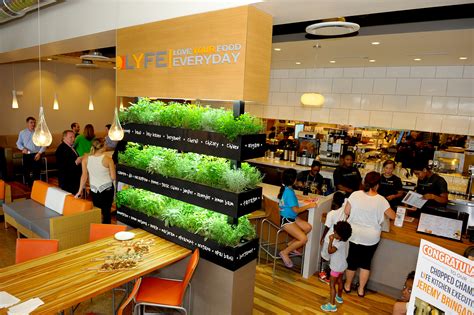 Healthy Fast Food Chains on the RISE! – StuffThatSpins.com