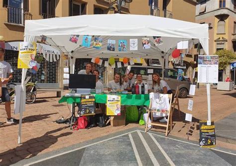 Cuori In Piazza Torna Nelle Piazze Di Busto Arsizio L Appello Alle