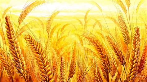 Golden Grain Fall Autumn Harvest Grain Grass Wheat Bread Yellow