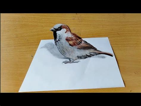 Sparrow Bird Colour Drawing Drawing time lapse blue bird youtube