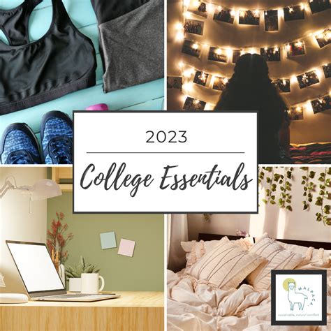 College Essentials 2023: Elevate Your Campus Life with Quality and ...