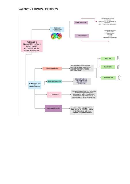 Diagramas Bioquímica SANDIA2232 uDocz