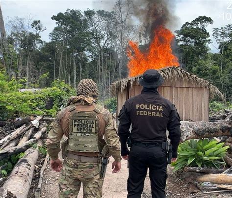 Pol Cia Federal Deflagra Opera O Para Combater O Desmatamento Ilegal