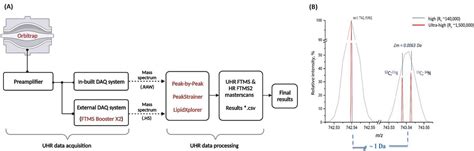 Shotgun Lipidomics By Ultra High Resolution Orbitrap Fourier Transform