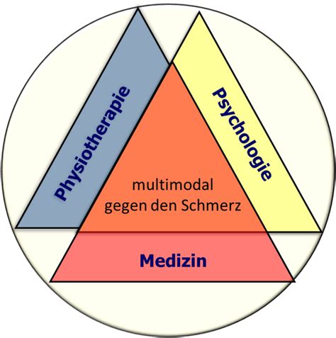 Multimodale Schmerztherapie Neurochirurg Dr Med Lukas R Eler