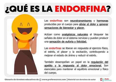 Qu Son Las Endorfinas Definici N De Endorfina