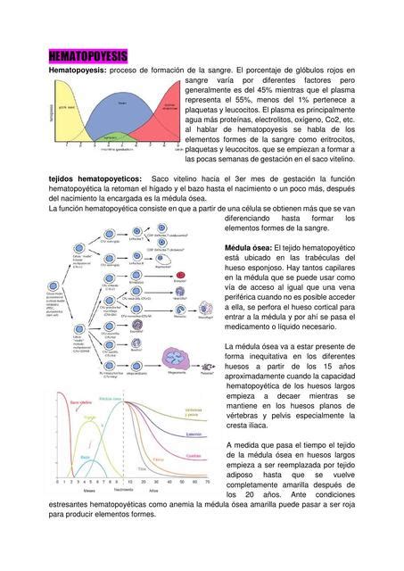 Hematopoyesis Brenda Vanessa Montoya Baldrich UDocz