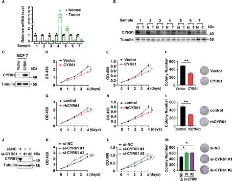 Frontiers The Prognostic Implications And Tumor Suppressive Functions