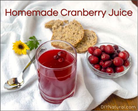 How To Make Cranberry Juice A Delicious And Naturally Sweetened Recipe