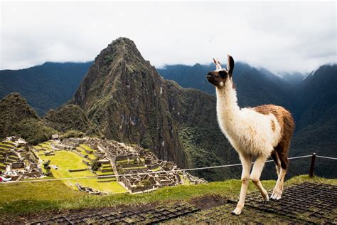 Machu Picchu Sunrise Tour (2 Days) - Machu Picchu Peru Cusco - 2021