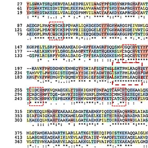 Nrfa Protein Sequence Alignment Of Three Dissimilatory Nitrate