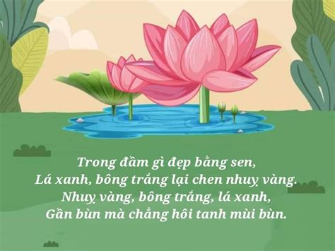 Cảm động Thơ trong đầm gì đẹp bằng sen Cho tình yêu thêm ngọt ngào