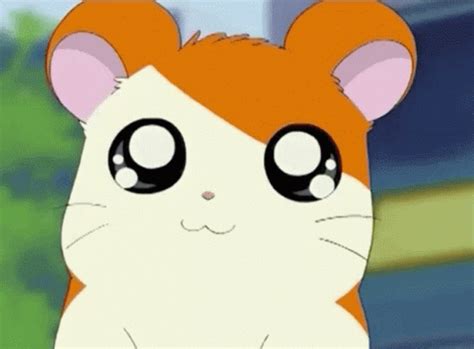 Hamtaro Hamtaro Descobrir E Compartilhar Gifs