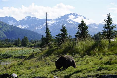 Our Summer Alaska Adventure - No Back Home