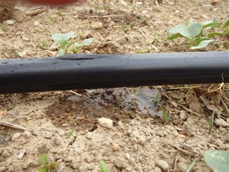 How to Install a Drip Irrigation System - Grow Appalachia