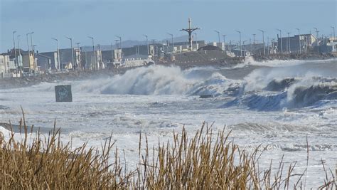 Debido a un efecto directo del cambio climático esta cambiando el color