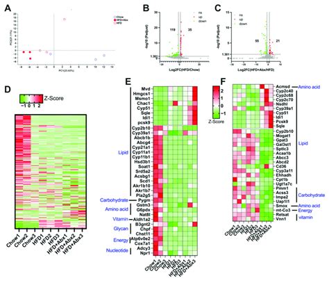 Gut Microbiota Depletion Altered Liver Gene Expression In Hfd Fed Mice