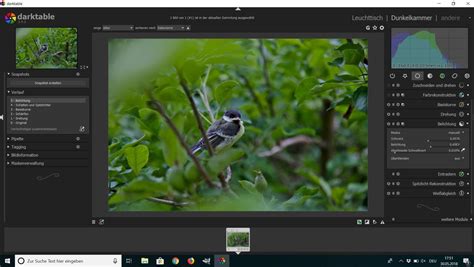 Zehn Lightroom Alternativen DER SPIEGEL