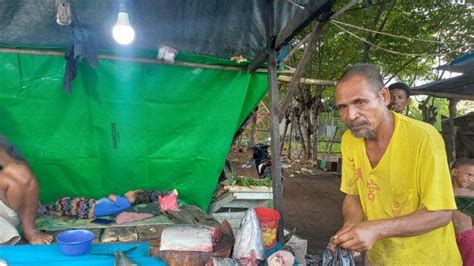 Cerita Longginus Nesu Tahun Jual Ikan Di Sikka Hingga Mampu Beli