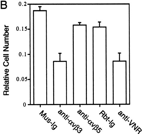 Cloning And Characterization Of Developmental Endothelial Locus An