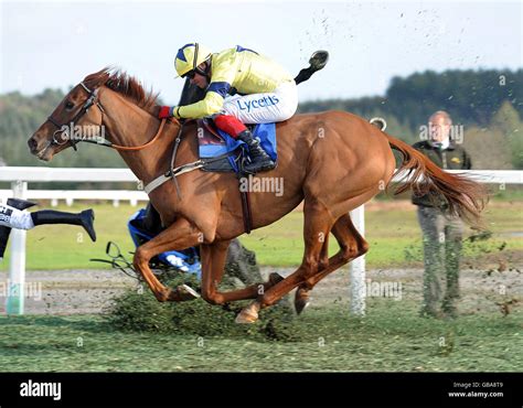 Racing Exeter Full Length Hi Res Stock Photography And Images Alamy