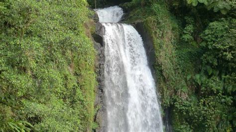 Trafalgar Falls, Dominica (2024) - Images, Timings | Holidify