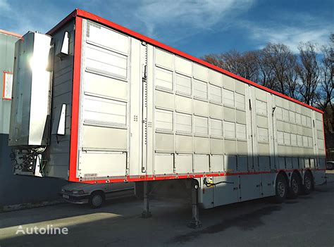 Pezzaioli Sba U Livestock Semi Trailer For Sale Poland Chodzie