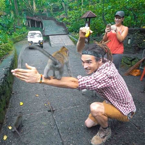 Ubud Monkey Forest Bali Swing