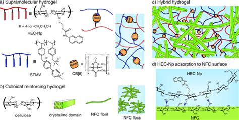 Supramolecular Hydrogel Consisting Of Hec Np Stmv And The Cb 8 Host