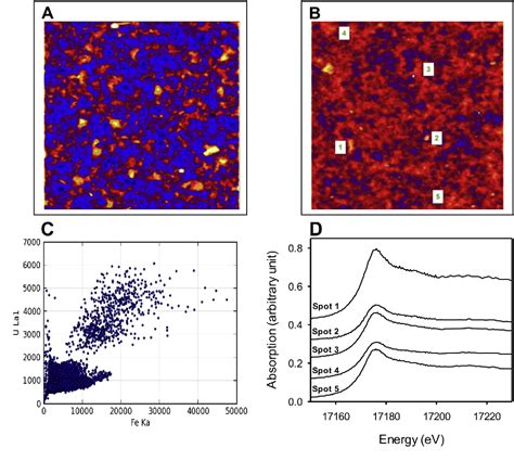 Figure From Retention And Chemical Speciation Of Uranium In An