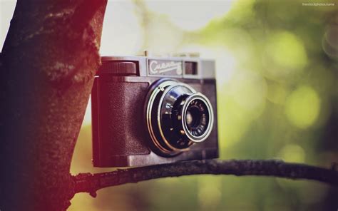 🔥 [40+] Cute Camera Wallpapers | WallpaperSafari