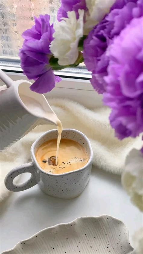 Pin de Neuza Trentin em pasta vídeos 1 Imagens de café Fotografia