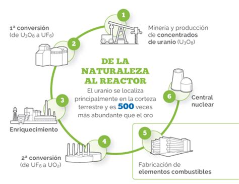 De la Tierra al reactor cómo se fabrica el combustible nuclear