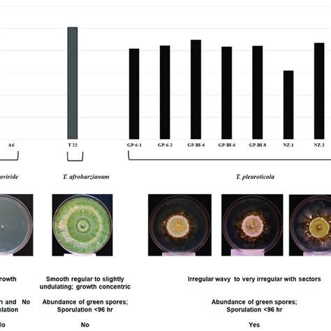 Morphological And Physiological Characteristics Of Trichoderma Isolates