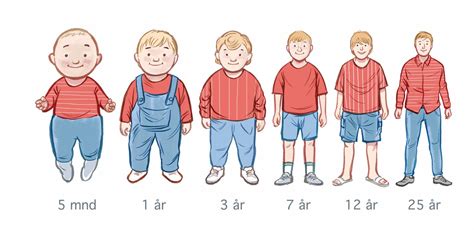 Hvor Lenge Skal Barn Sitte Bakovervendt