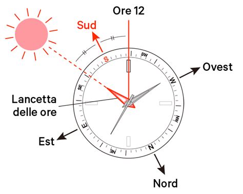 Come Utilizzare Lorologio Come Bussola Ad Esempio Per Lemisfero